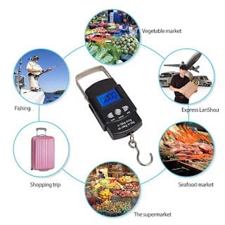 Digital Electronic Weight Scale - 50kg Weight Capacity